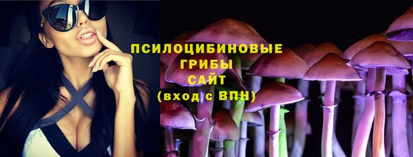 МДПВ Володарск