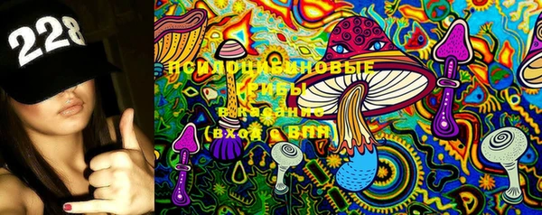 МДПВ Волоколамск