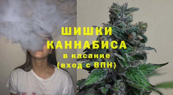 МДПВ Волоколамск