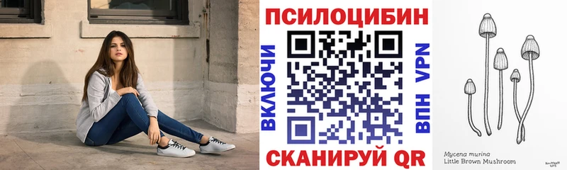 как найти наркотики  Санкт-Петербург  Галлюциногенные грибы мицелий 